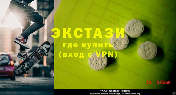 индика Горнозаводск