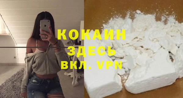 дурь Горняк