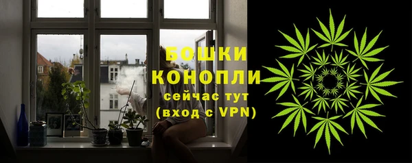 индика Горнозаводск