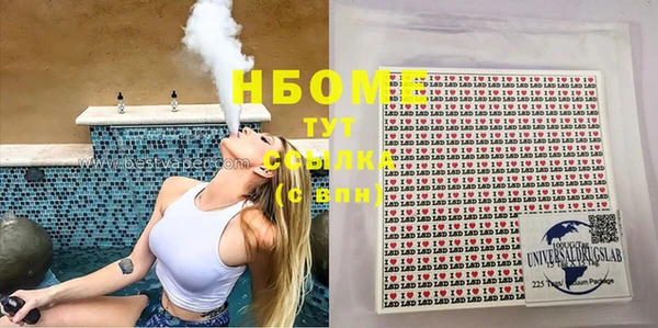 индика Горнозаводск