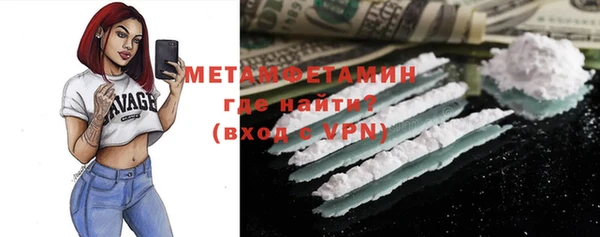 индика Горнозаводск