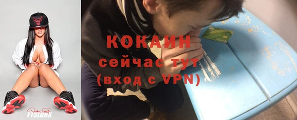 дурь Горняк