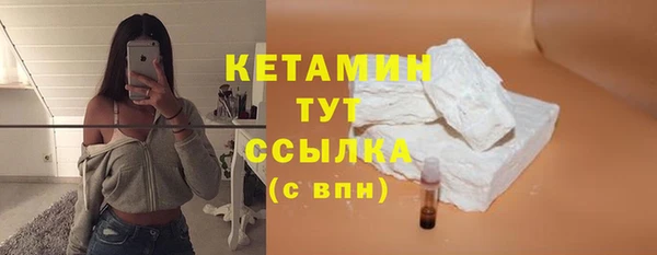 индика Горнозаводск