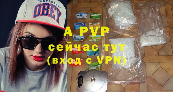 индика Горнозаводск