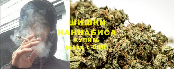 индика Горнозаводск