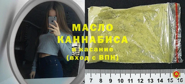индика Горнозаводск