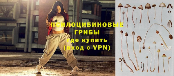 дурь Горняк