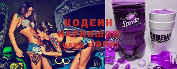 индика Горнозаводск