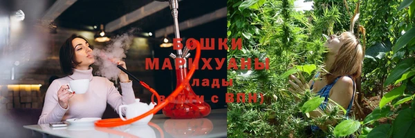 дурь Горняк