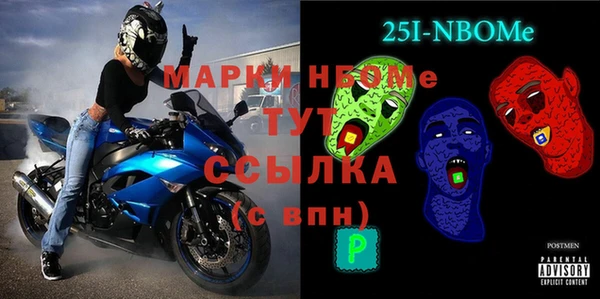 индика Горнозаводск