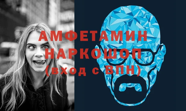 индика Горнозаводск
