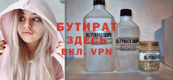 индика Горнозаводск